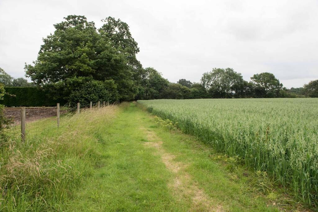 Immaculate Barn Annexe Close To Stansted Airport Great Dunmow Exterior foto